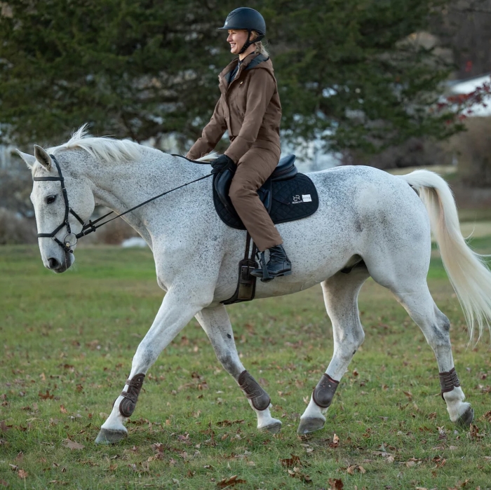 Corro Horse Reviews: What Do Customers Think?