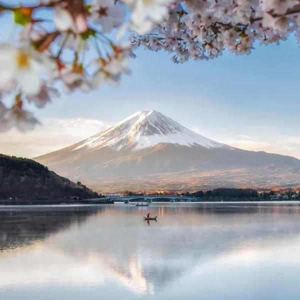Costsaver Japan Discovery Reviews