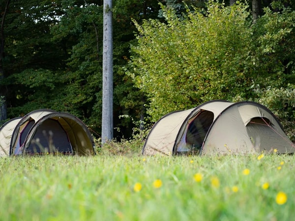 About Cosy Camp