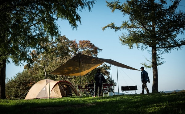 Overview of Cosy Camp