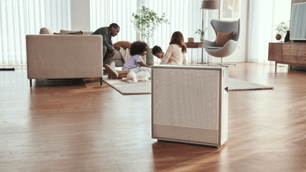 Coway Airmega 250 Review