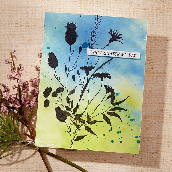 Spellbinders Bloom Wildly BetterPress Plate Review