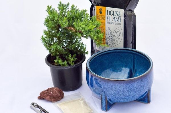Cratejoy My Garden Box Reviews