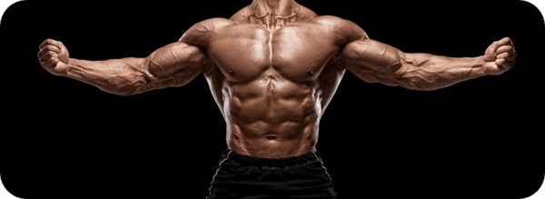 Crazy Muscle Supplement Composition