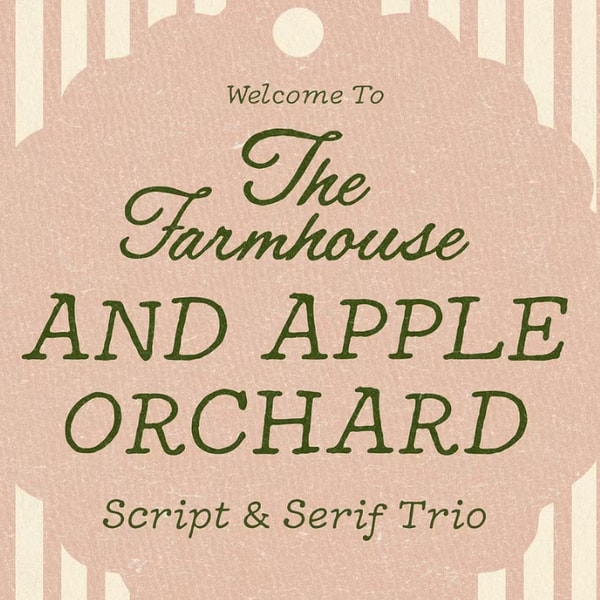 Creative Market Handwritten Whimsy Serif and Script Reviews