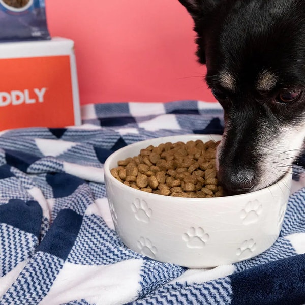 CUDDLY: Compassion in Action