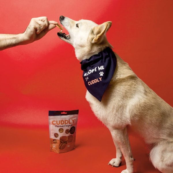 CUDDLY: Driven by Kindness