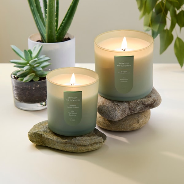 Cue Company Dewy Aloe and Eucalyptus Candle Review