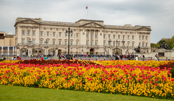 Currency Exchange International British Pound Review