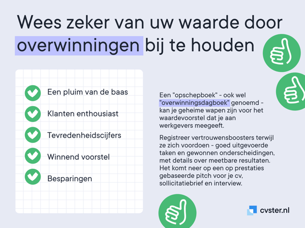 cvster.nl Dienst Beoordeling