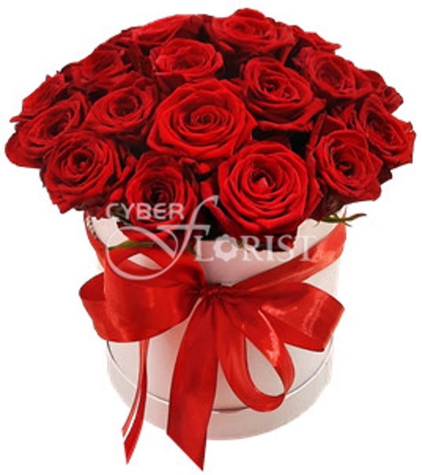 Cyber Florist Red Rose Gift Box Review