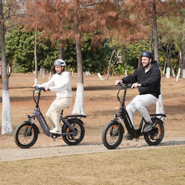 Cyseekin Bike C20 Folding E-Bike Avis