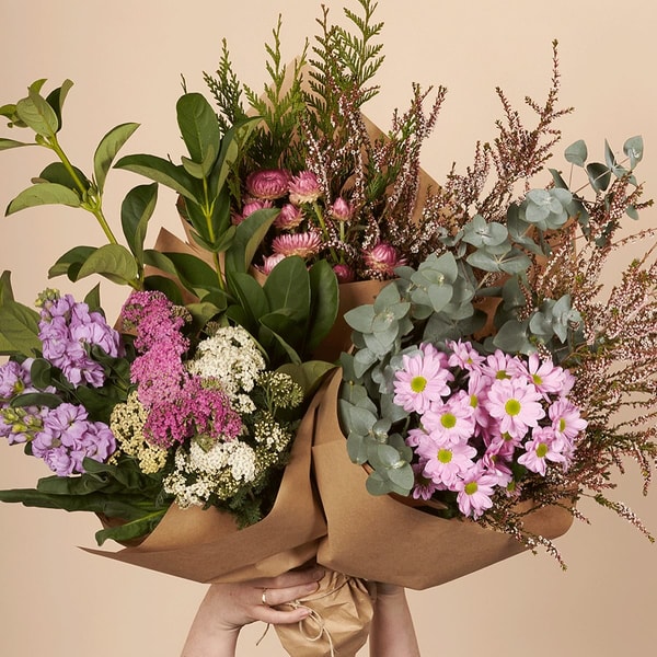 Daily Blooms Review