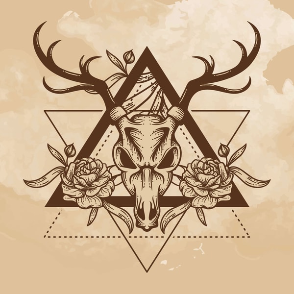 Dark Forest Tarot Cards vs Alternative Tarot Decks