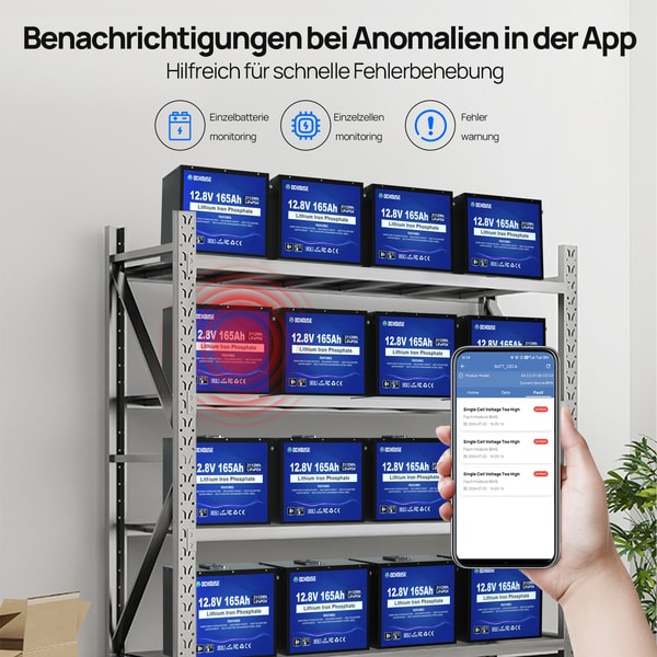 DC HOUSE 12V 165Ah LiFePO4 Batterie Bewertungen