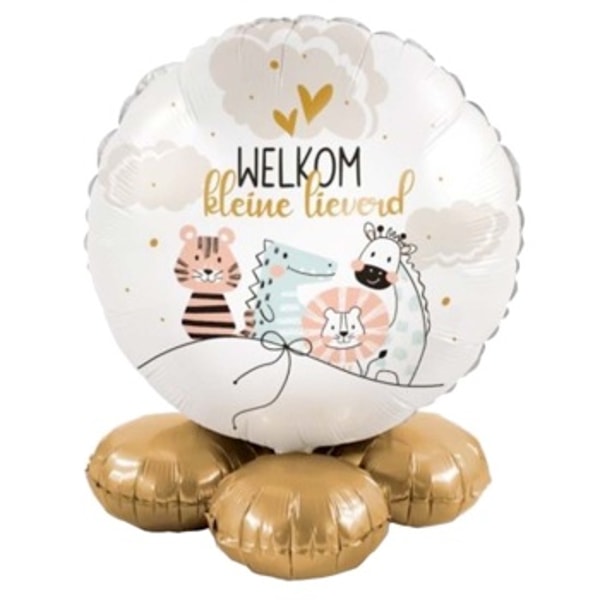 deBallonnensite.nl welcome little darling balloon gift Review