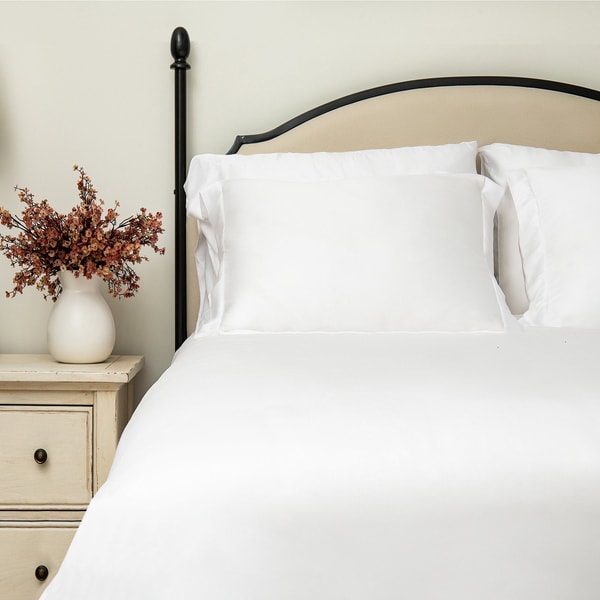 Delara Home Review