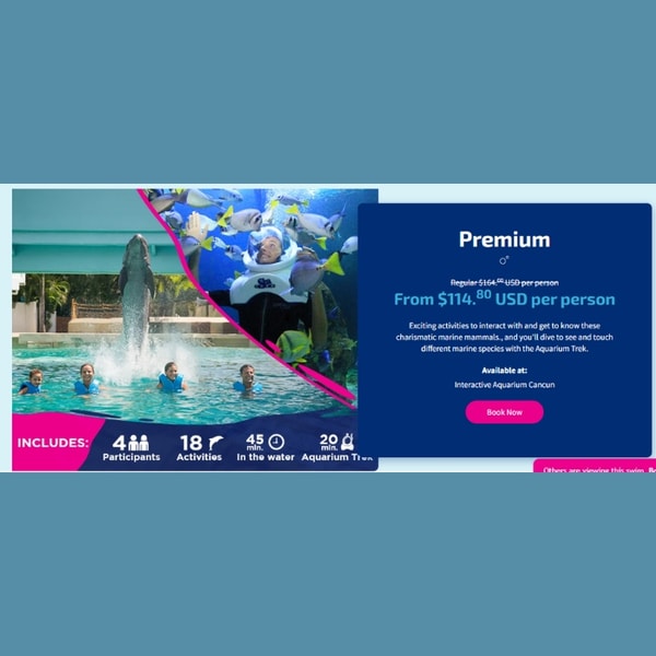 Delphinus Premium Review
