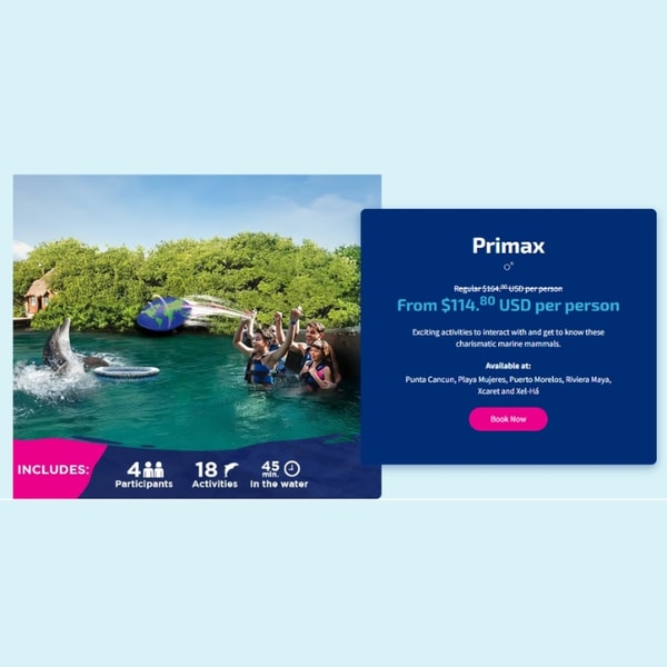 Delphinus Primax Review
