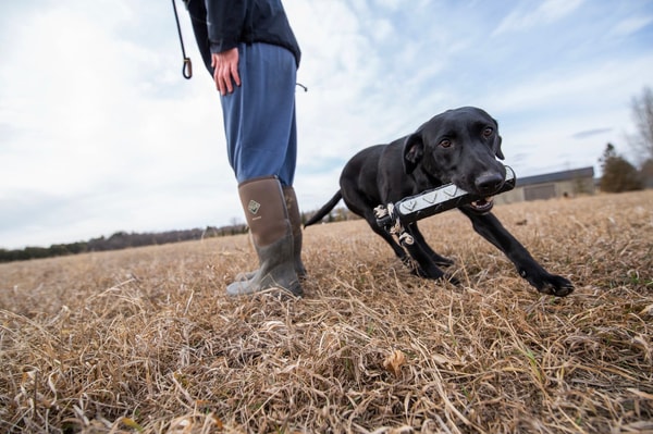 Delta Waterfowl Friend Membership Review