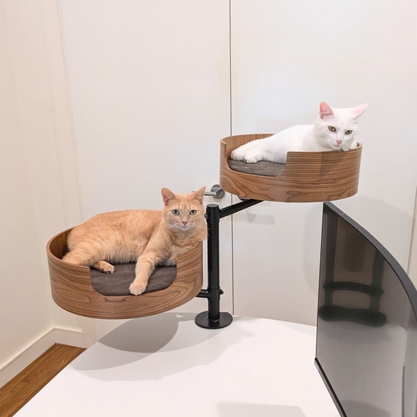 Desk Nest Duo Review