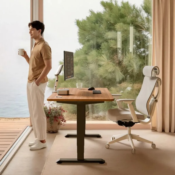 Desktronic HomePro Schreibtisch Bewertung