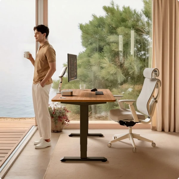 Desktronic HomePro desk Review