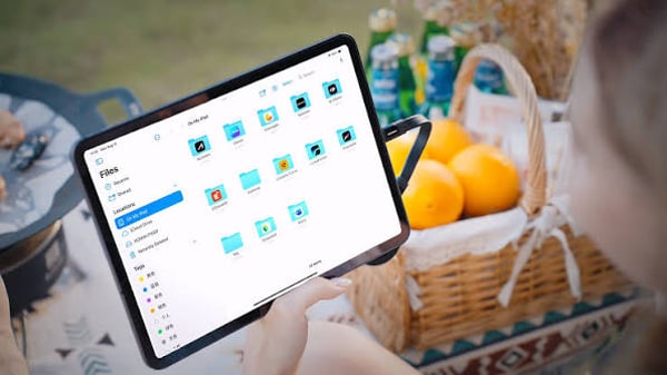 About Digiera