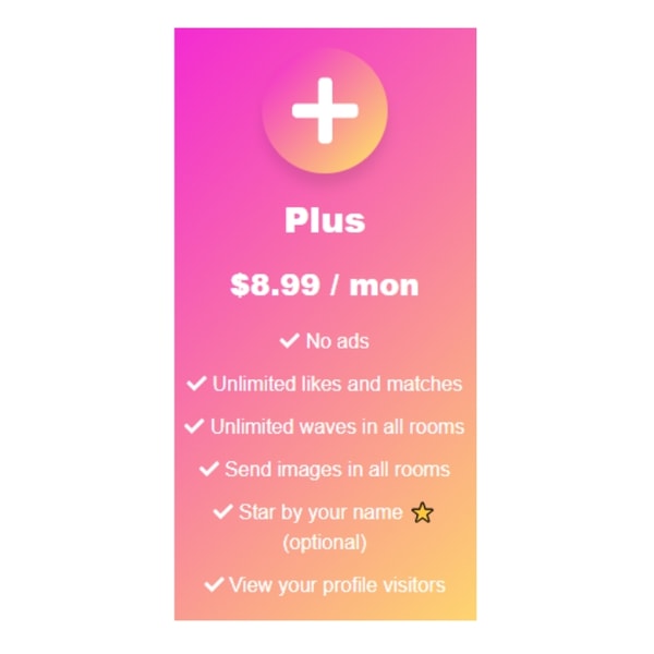 Dinchat Plus Membership Review