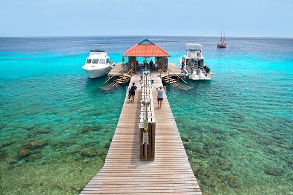About DIP 'N DIVE