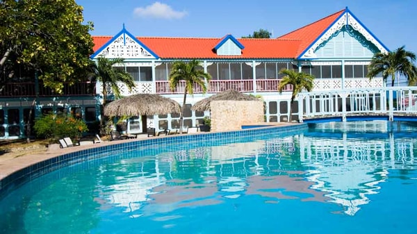 DIP 'N DIVE Review