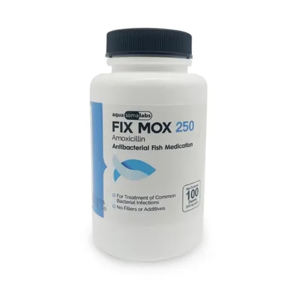 DK Hardware Fish Mox 250mg Review