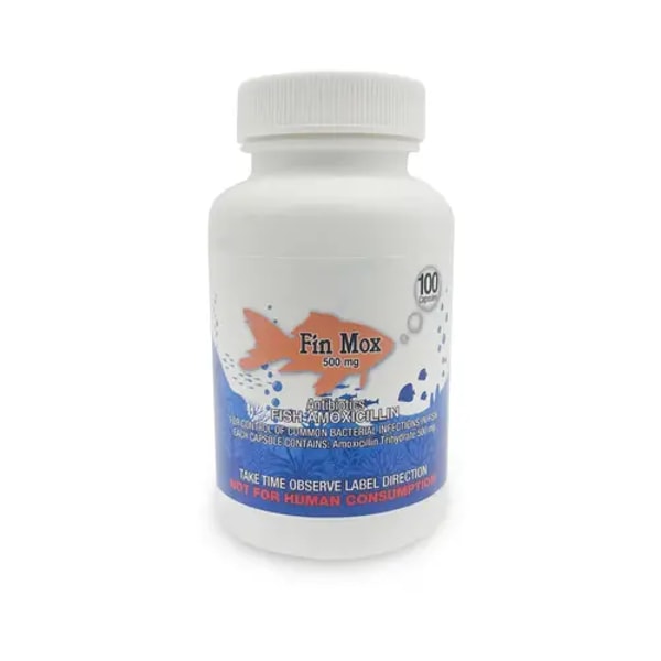 DK Hardware Fish Mox 500mg Review