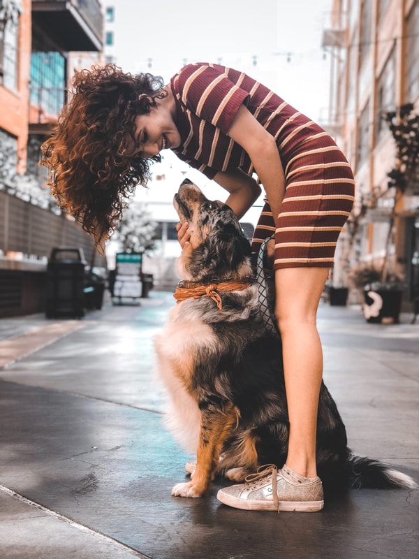 Dogo Review