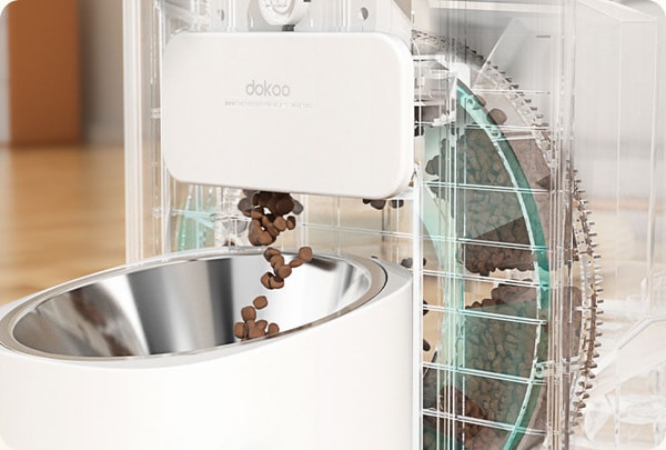 Dokoo: Simply Explained