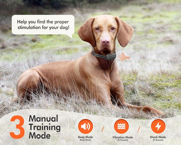 Dokoo Dog Shock Collar with Remote Review