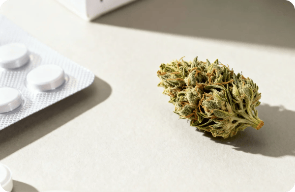 DoktorABC Medizinische Cannabis-Therapie Bewertung