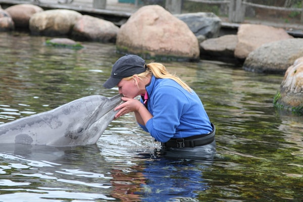 Dolfinarium Beoordeling