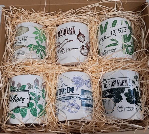 DoniczkoweLove Ale się wkopałem Recenzja
