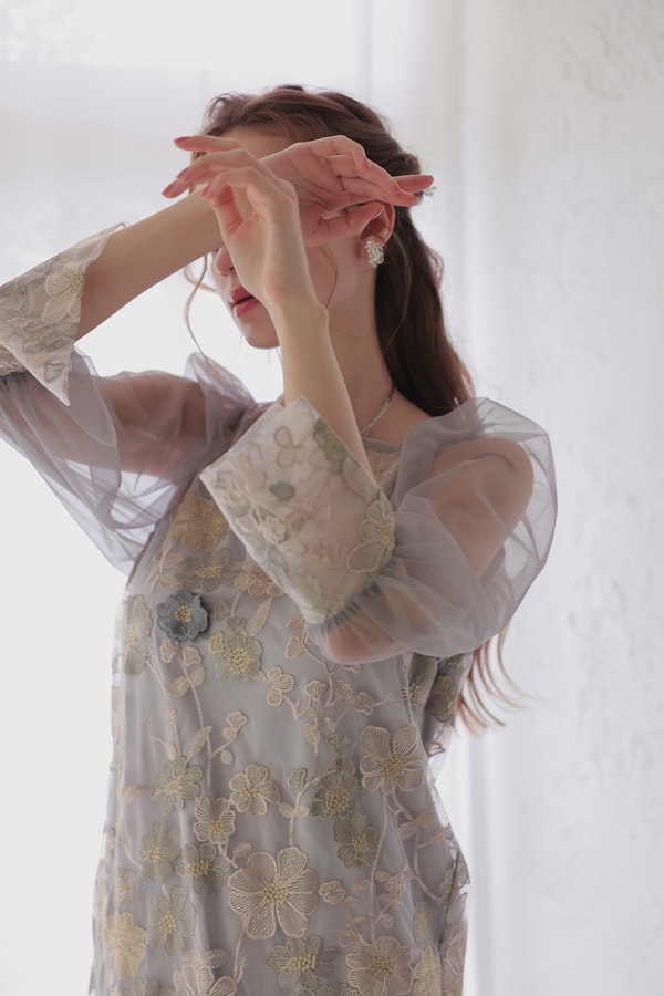 Dorry Dollについて