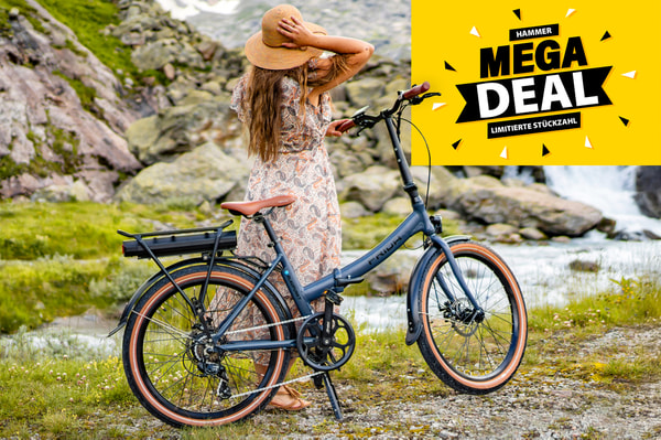 DOTBLUE eBIKE FRIDA Bewertung