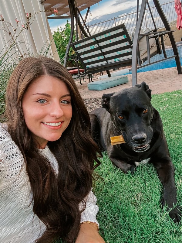 Downtown Pet Supply Review
