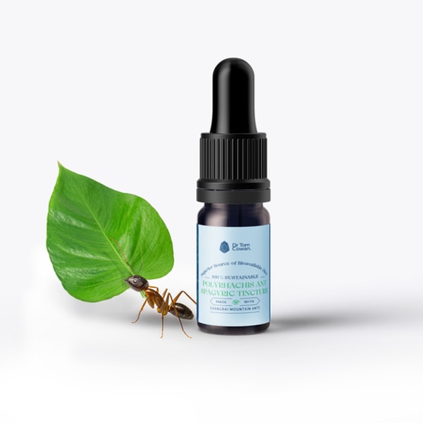 Dr. Tom Cowan Polyrhachis Ant Spagyric Tincture Reviews