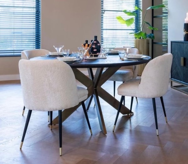 Dream Interiors White Chenille Dining Chair Review