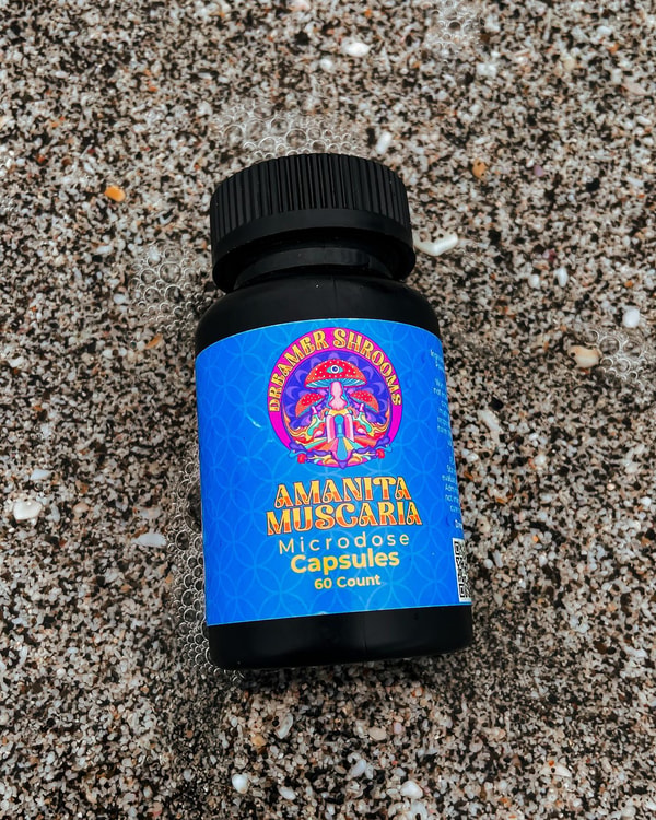 Dreamer Shrooms Review