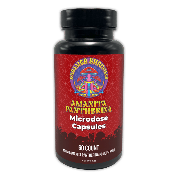 Dreamer Shrooms Amanita Pantherina Capsules Review