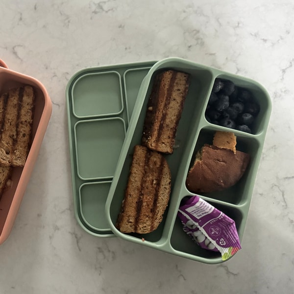 Dreamroo The Flex Bento Review