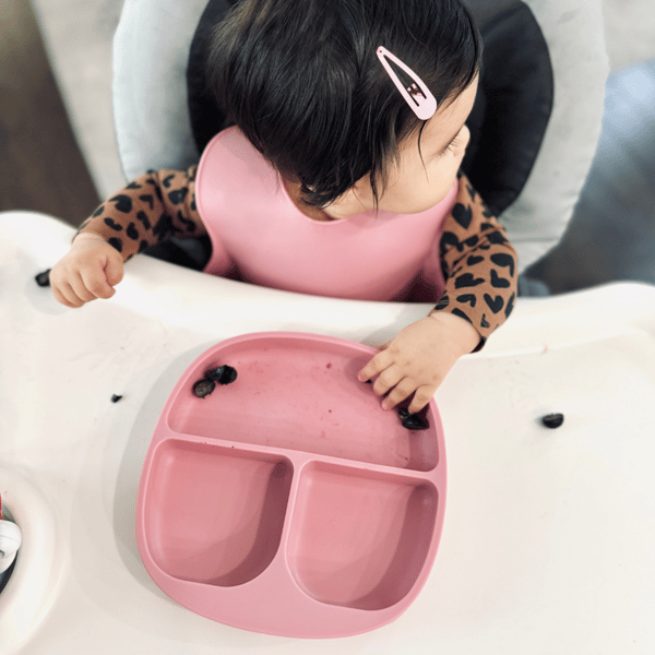 Dreamroo Little Eaters Set Stage 2 Review