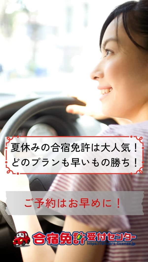 Driver's Licenseについて