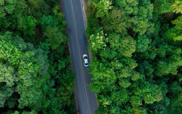 DriveSafe Online Eco-Driving Course Review